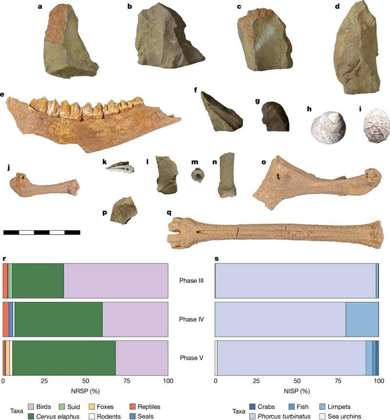 Image from: Archaeologists Found a Hidden Cave in Malta Where Humans Once Lived Inside 8,500 Years Ago