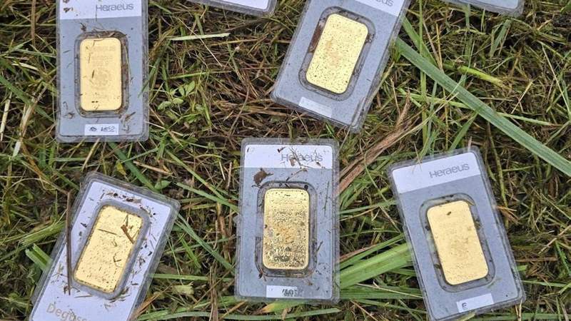 Image from: A Town Worker Accidentally Found Gold Worth 40,000 Euros While Mowing the Lawn