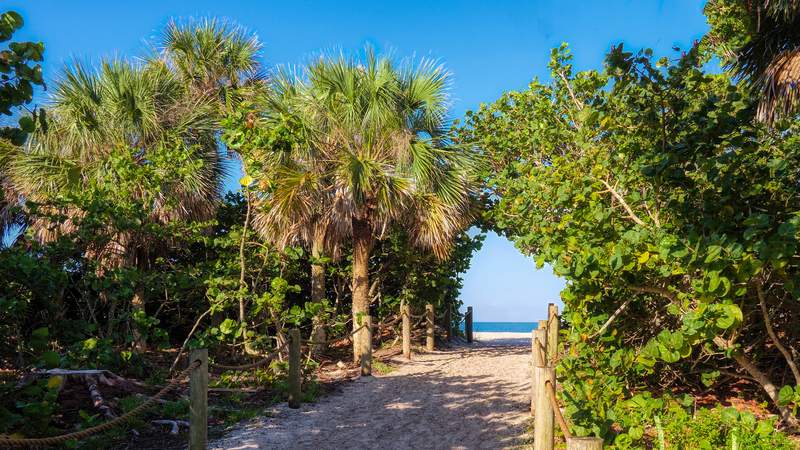 Image from: In the US, this coastal haven in Florida is the ultimate destination for your retired golden years (you won’t regret it!)