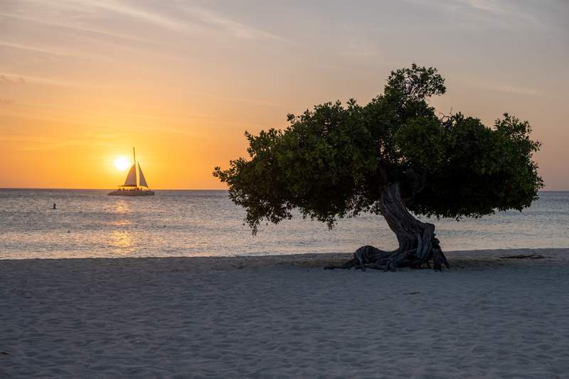 Image from: In the Caribbean, these are the 5 best islands to choose for your next trip this year (for some sun, style and fun!)