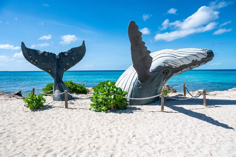 Image from: In the Caribbean, these are the 5 best islands to choose for your next trip this year (for some sun, style and fun!)