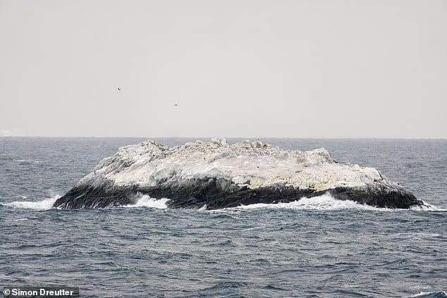 Image from: Scientists Fled a Storm Into Antarctica’s Danger Zone and Found a Hidden Island Missing From Modern Maps