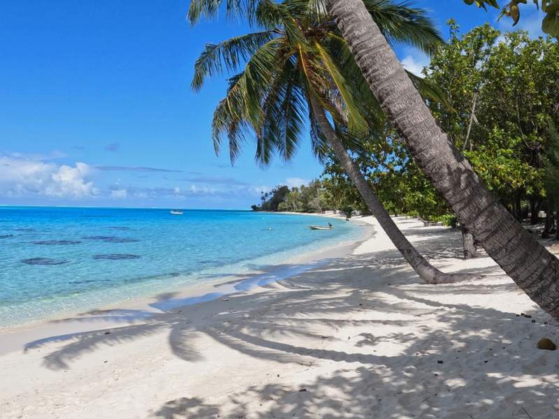 Image from: From the Caribbean to Oceania, these are the 5 cleanest beaches in the world that need to be on your travel list