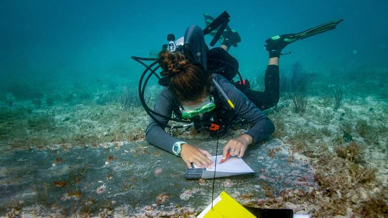 Image from: Divers Uncovered the Remains of a Forgotten Hospital Beneath the Sea Near One of America’s Most Remote Locations