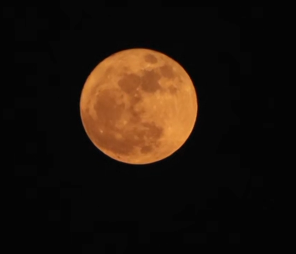 Image from: 'Blue' Moon illuminates night sky in India, skywatchers express happiness