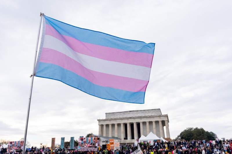 Image from: Donald Trump's crackdown on trans troops ruled ILLEGAL as White House vows: 'We'll see you in court'