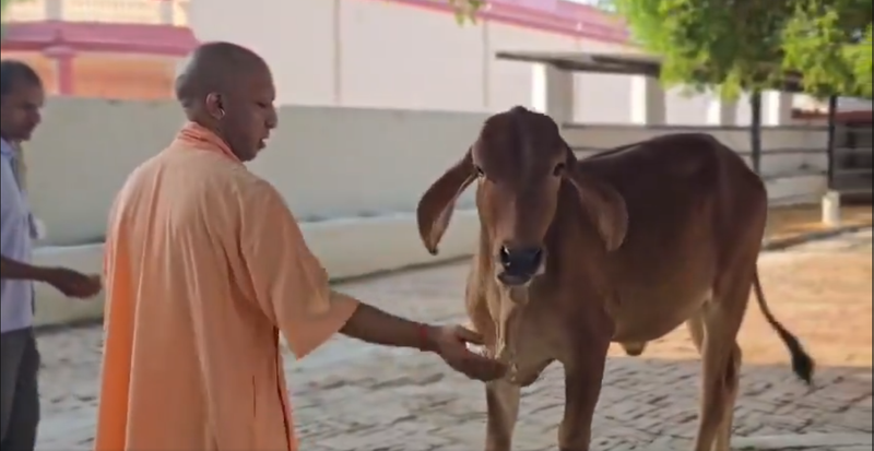 Image from: UP CM Yogi Adityanath holds 'Janta Darshan' in Gorakhpur
