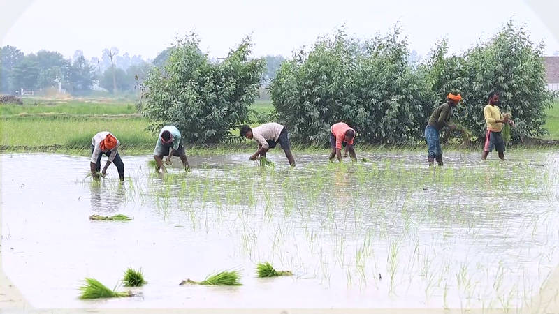 Image from: From farms to digital India a story of inclusive growth