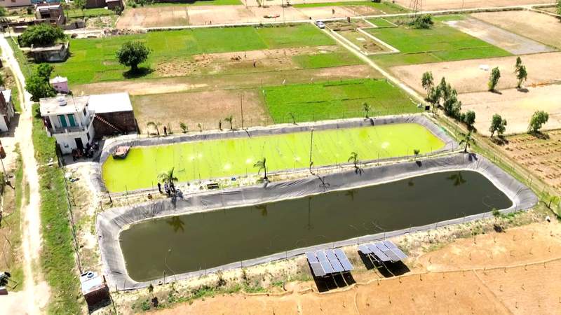 Image from: Pearl farming emerges as new rural business opportunity for farmers, young entrepreneurs