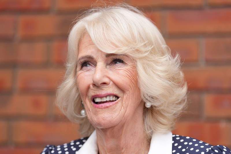 Image from: Queen Camilla opens new rooftop garden in South London hospital