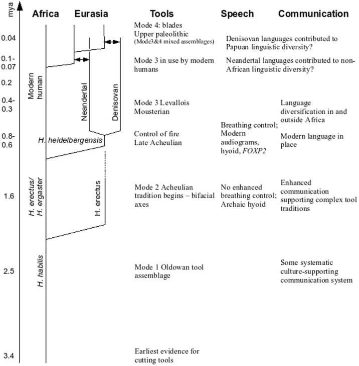 Image from: Neanderthals Were Once Thought to Communicate with Grunts, Scientists Now Believe They Had Language