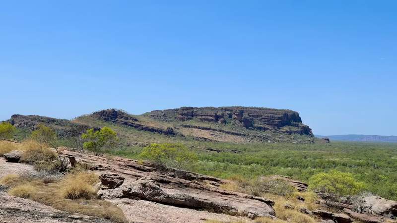 Image from: Australian Microfossils Reveal Complex Cells Living on an Ancient Seafloor 1.7 Billion Years Ago