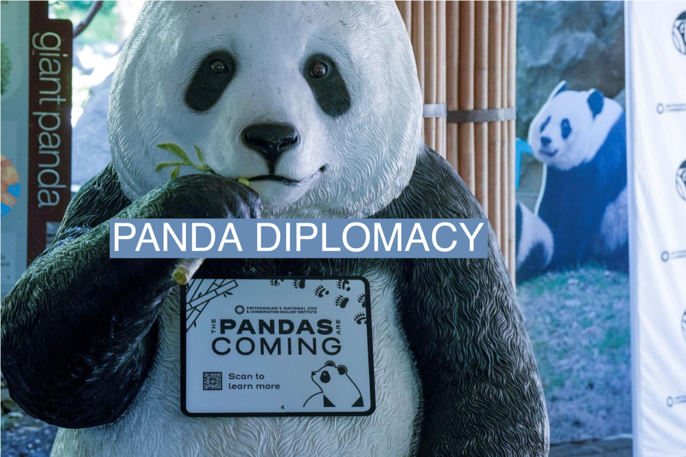 Us Balances China Espionage Fears With ‘panda Diplomacy 2260