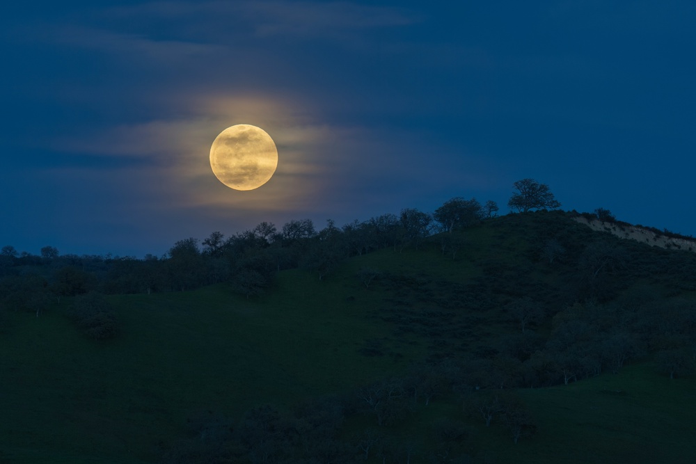 How the Cold Full Moon on December 7 Will Impact You Astrologically