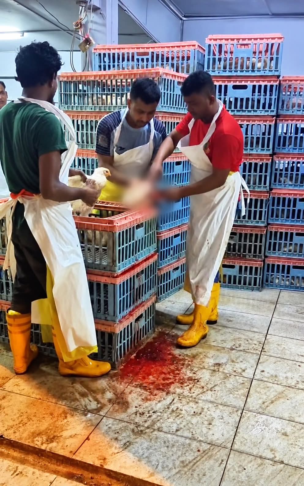 Photo by Dato' Seri Dr. Zulkifli Mohamad al-Bakri on October 20, 2026. May be an image of one or more people and text.