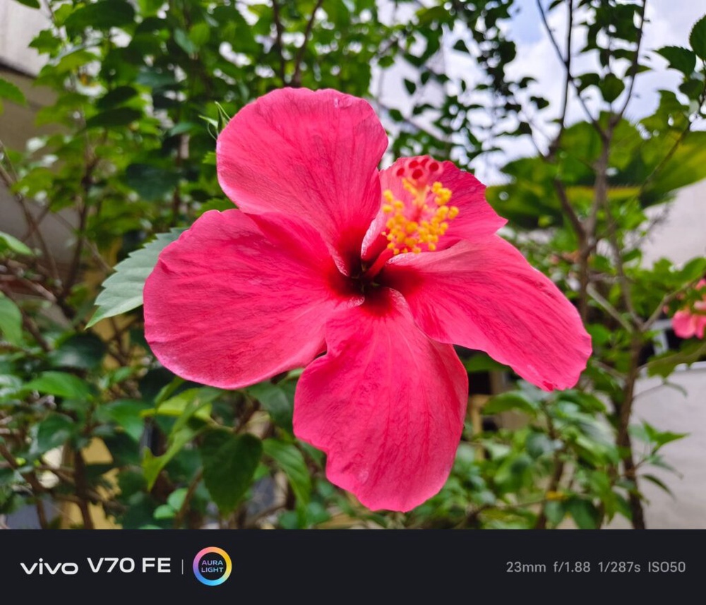 Image from: vivo V70 FE – the best 200MP camera phone that doesn’t break the bank?