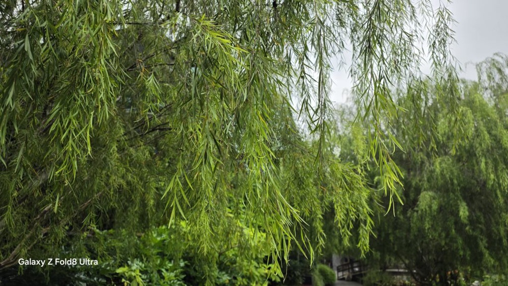 Image from: Samsung Galaxy Z Fold8 Ultra Review – Worthy Ultra Refinemments?