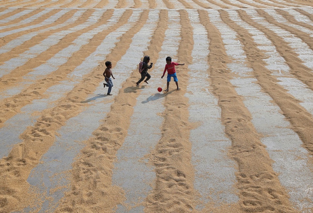 Image from: Decades of farm gains, inventories strengthen food system against 'super' El Nino