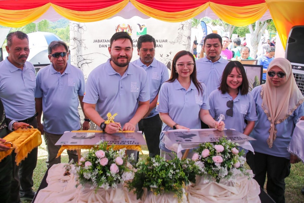 Image from: Selangor strengthens wildlife corridors to protect Malayan tapirs