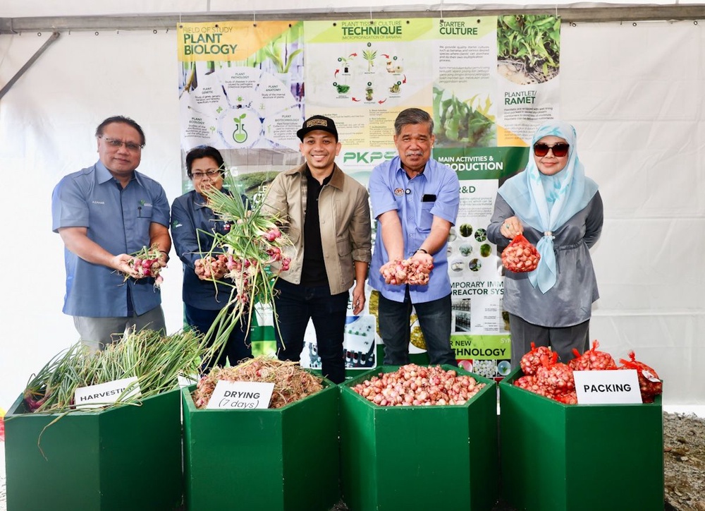 Image from: Malaysia hasilkan 135 tan metrik bawang merah, Selangor terajui penanaman