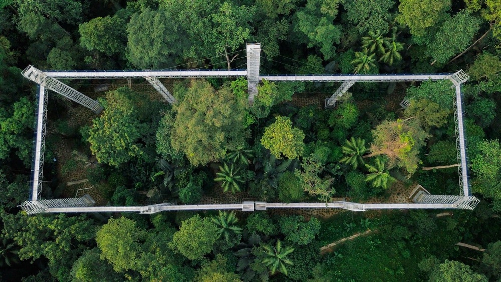 Image from: Setahun diiktiraf UNESCO, FRIM Forest Park terima 270,849 pelawat