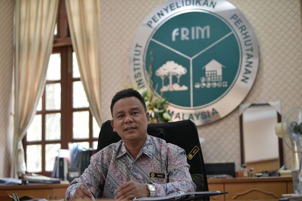 Image from: Setahun diiktiraf UNESCO, FRIM Forest Park terima 270,849 pelawat