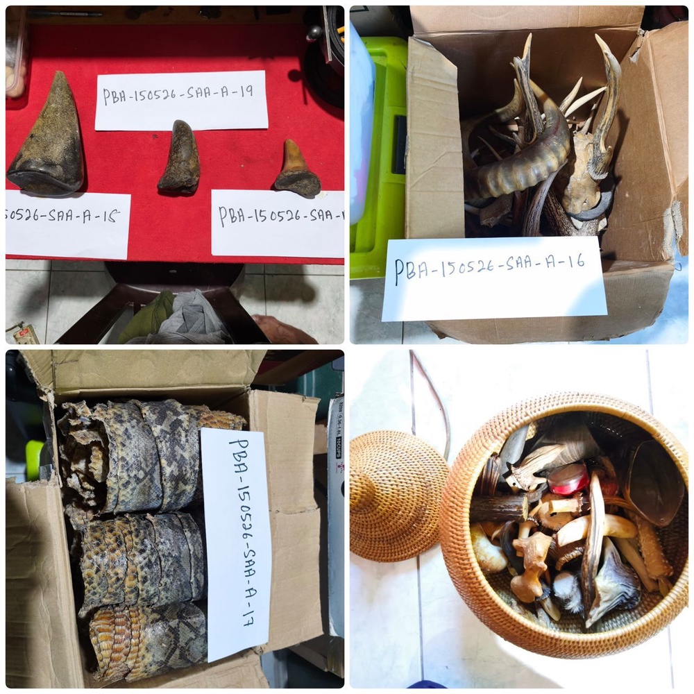 Image from: Bekas renjer ditahan miliki tanduk rusa, gigi gajah bernilai RM589,230