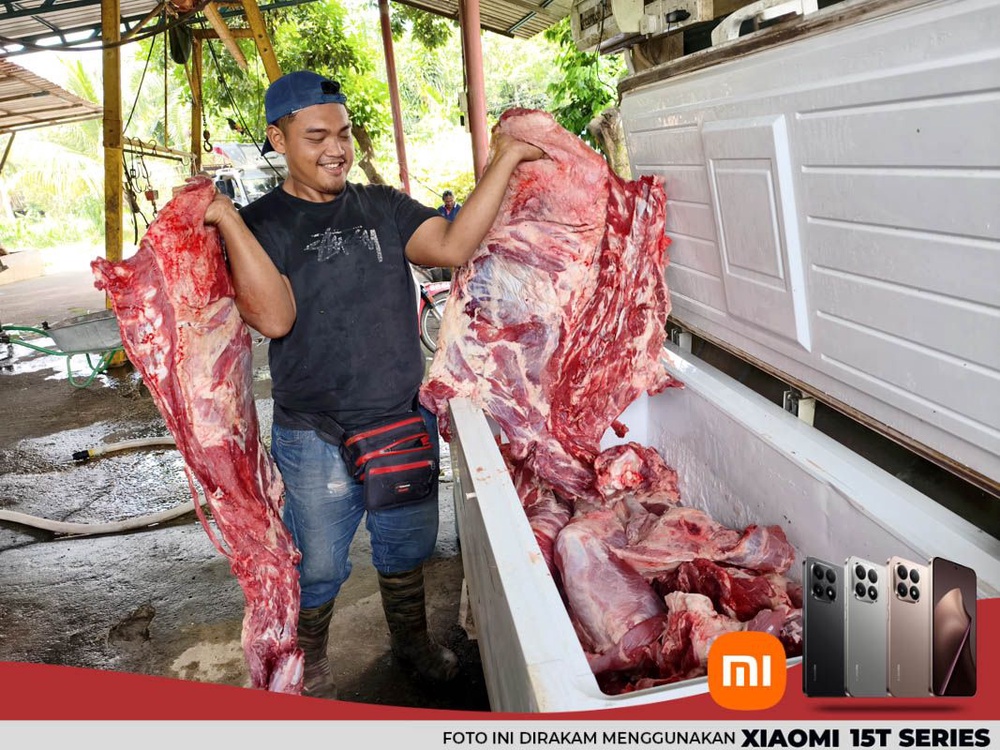 Image from: Pengorbanan penternak lembu