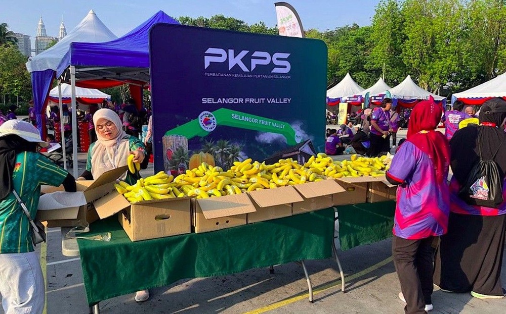 Image from: PKPS perkasa pertanian moden melalui pusat penyelidikan di Selangor Fruit Valley