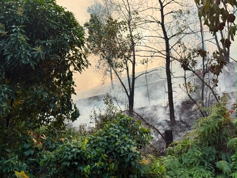 Image from: Hutan berhampiran SK Puncak Alam 2 terbakar, bomba giat halang api merebak