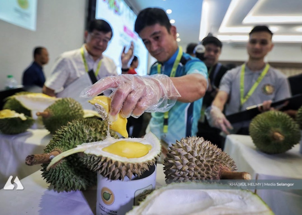 Image from: Enjoy durian season in moderation, nutritionist advises