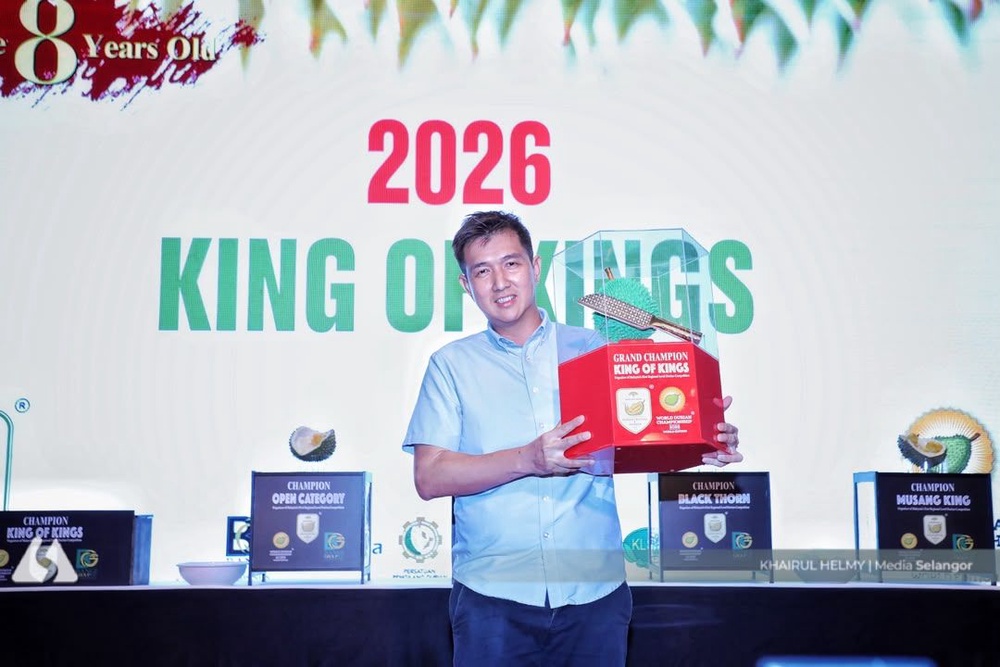 Image from: Discarding fruit for quality: The secret behind Duri Hitam being crowned 'King of Kings'
