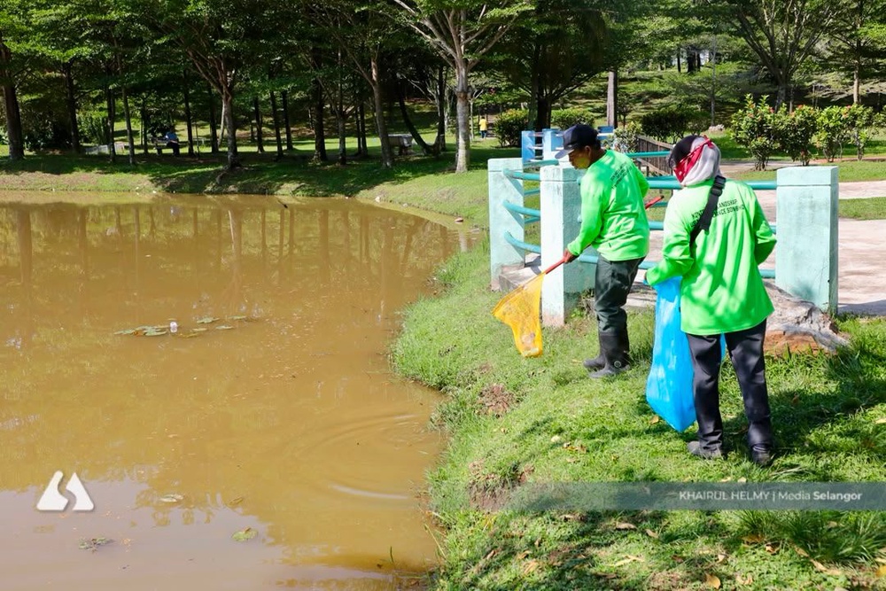 Image from: 水质转黑现大批鱼尸 蒲种宏愿公园集水池抢救后复原貌