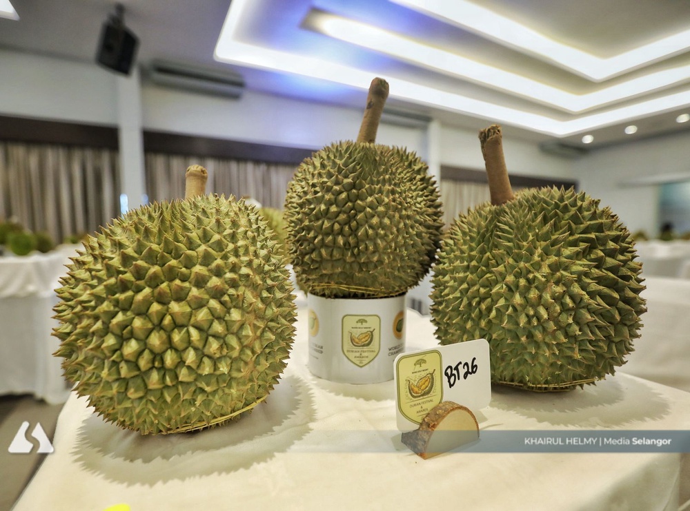 Image from: Want to pick a delicious durian? Aroma is the top indicator