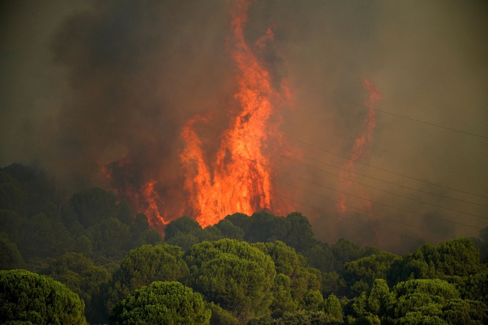 Image from: Europe's wildfire season exposes climate insurance gap