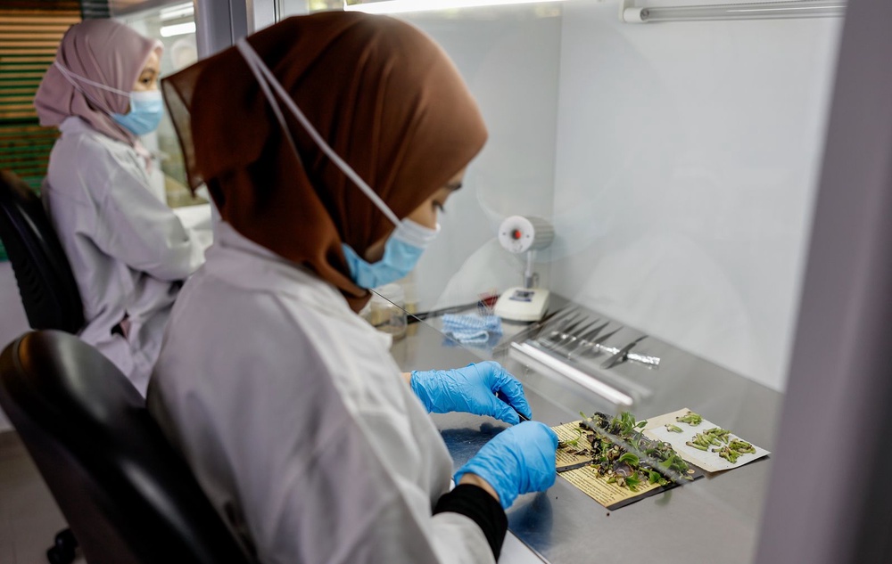 Image from: PKPS perkasa pertanian moden melalui pusat penyelidikan di Selangor Fruit Valley