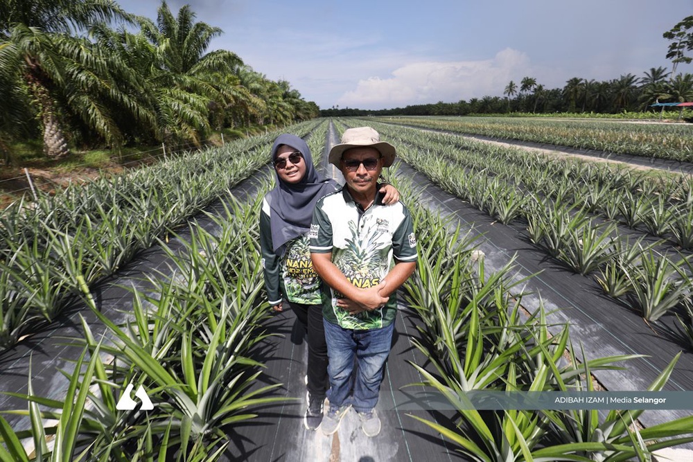 Image from: Bangkit lawan kanser tulang, Nurshafiqah sambung legasi PakDin Nanas