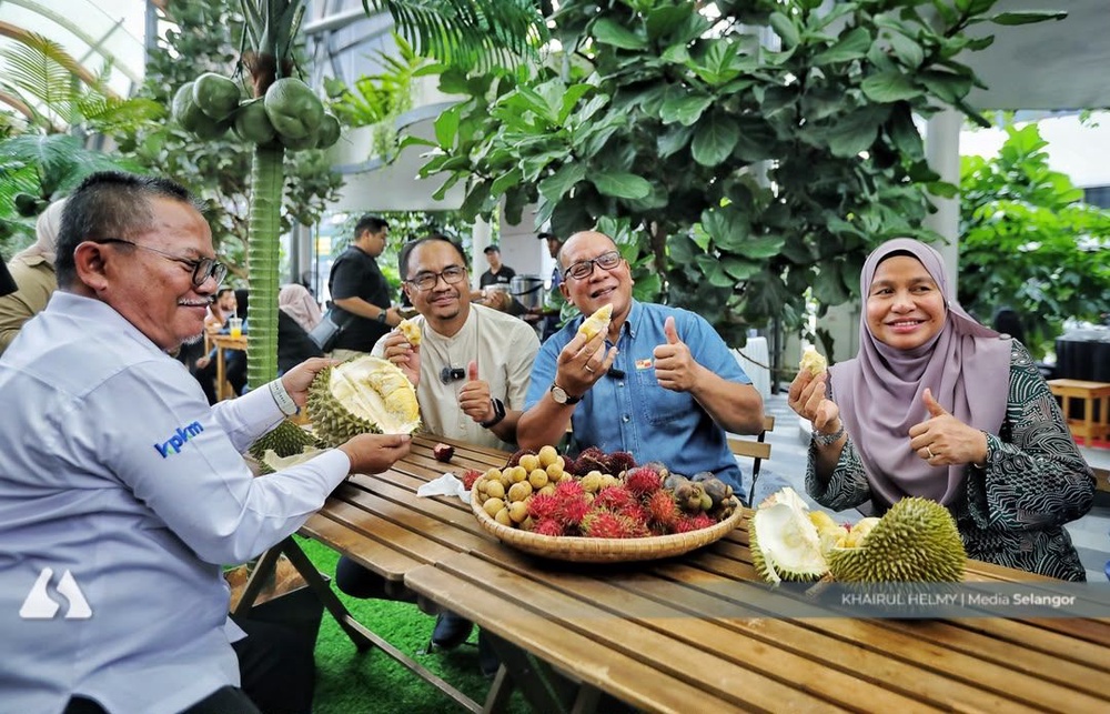 Image from: 40 tan buah tempatan ditawar di Pesta Buah-Buahan Selangor, nanas MD2 serendah RM1