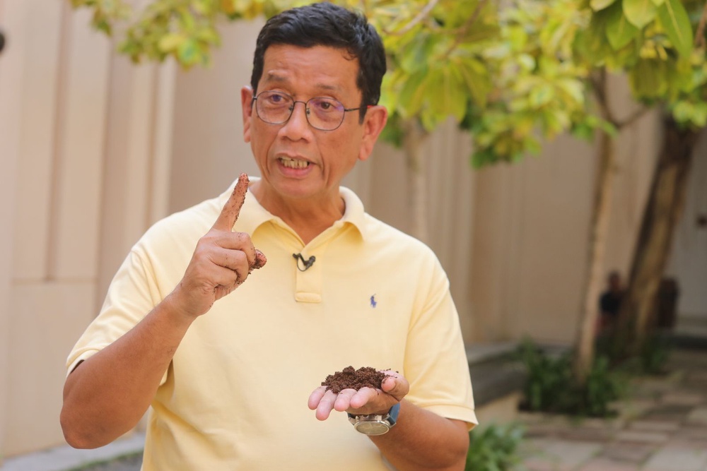 Image from: Pokok mangga tak berbuah, benarkah perlu ditakik?