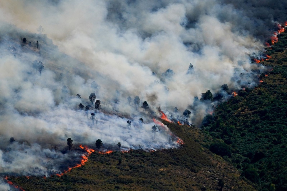 Image from: Messi donates €80,000 to rebuild wildfire-hit Madrid region