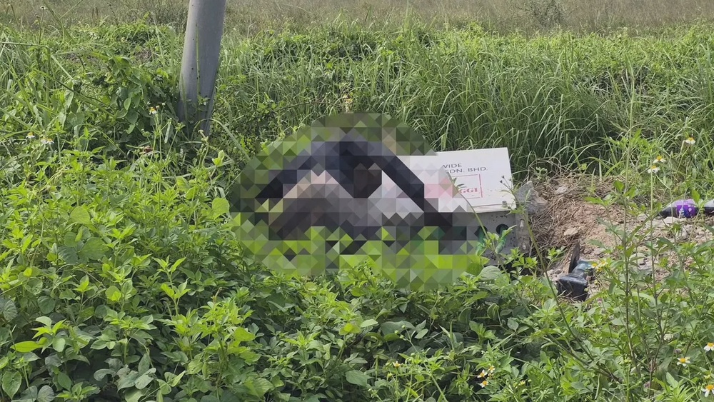 Image from: Lelaki maut terkena renjatan elektrik ketika curi kabel TNB di Kapar