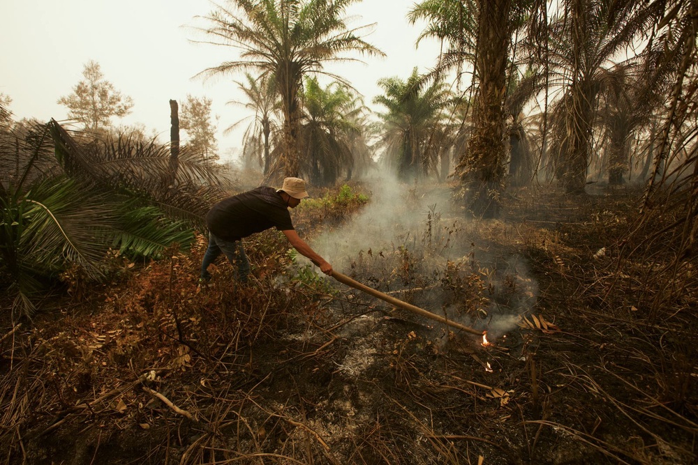 Image from: Prabowo vows to revoke licences of firms linked to forest fires