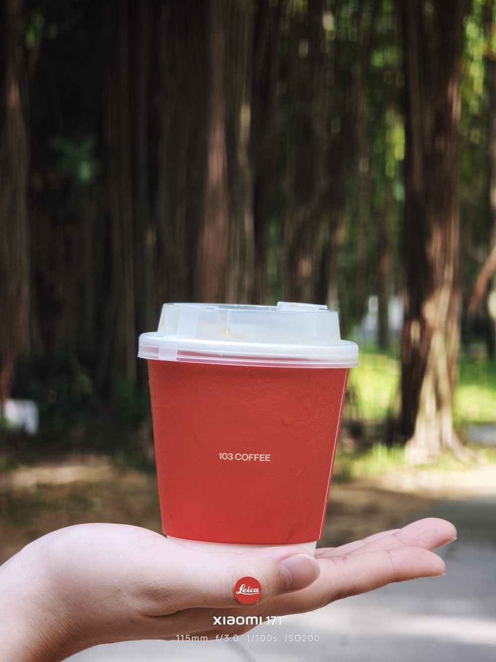 Image from: Xiaomi 17T: What more can you ask for?