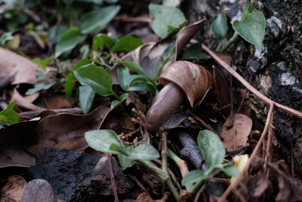 Image from: These Malaysian content creators used just one camera to film this short drama