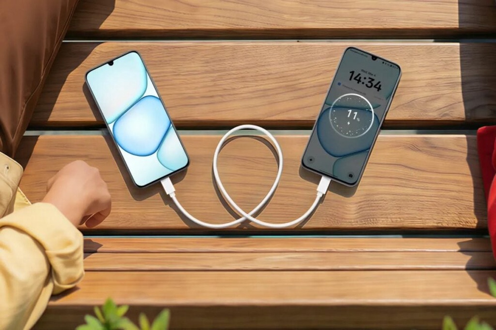 Image from: Realme C100 series Malaysia: Entry level smartphones with 7000mAh batteries, from RM599