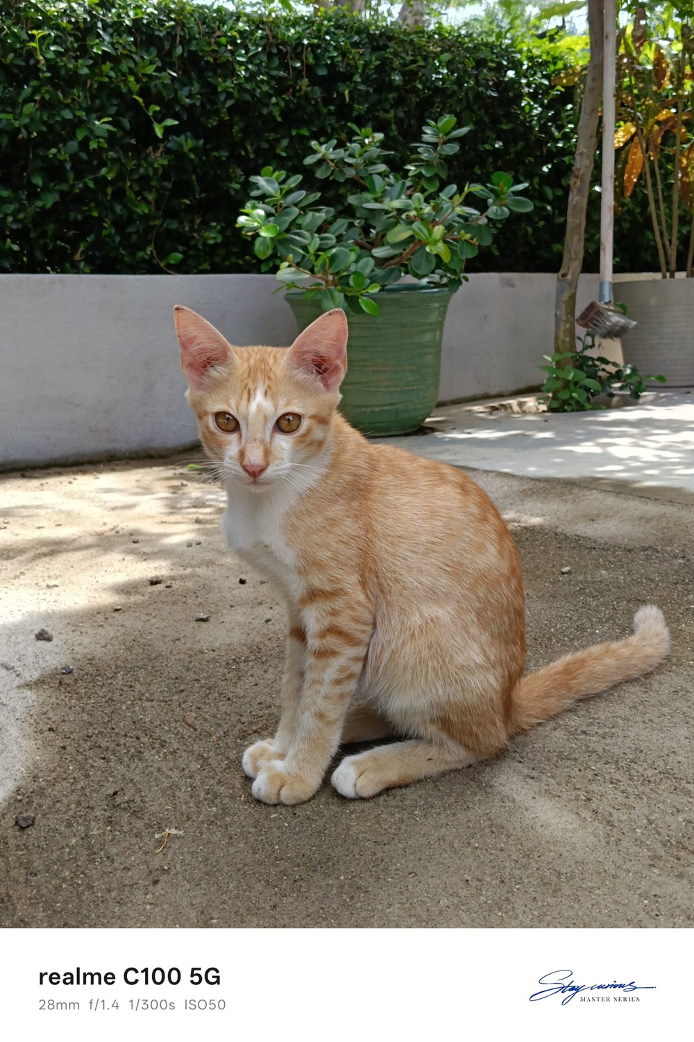 Image from: Realme C100 Malaysia review: A practical budget friendly phone for long days away