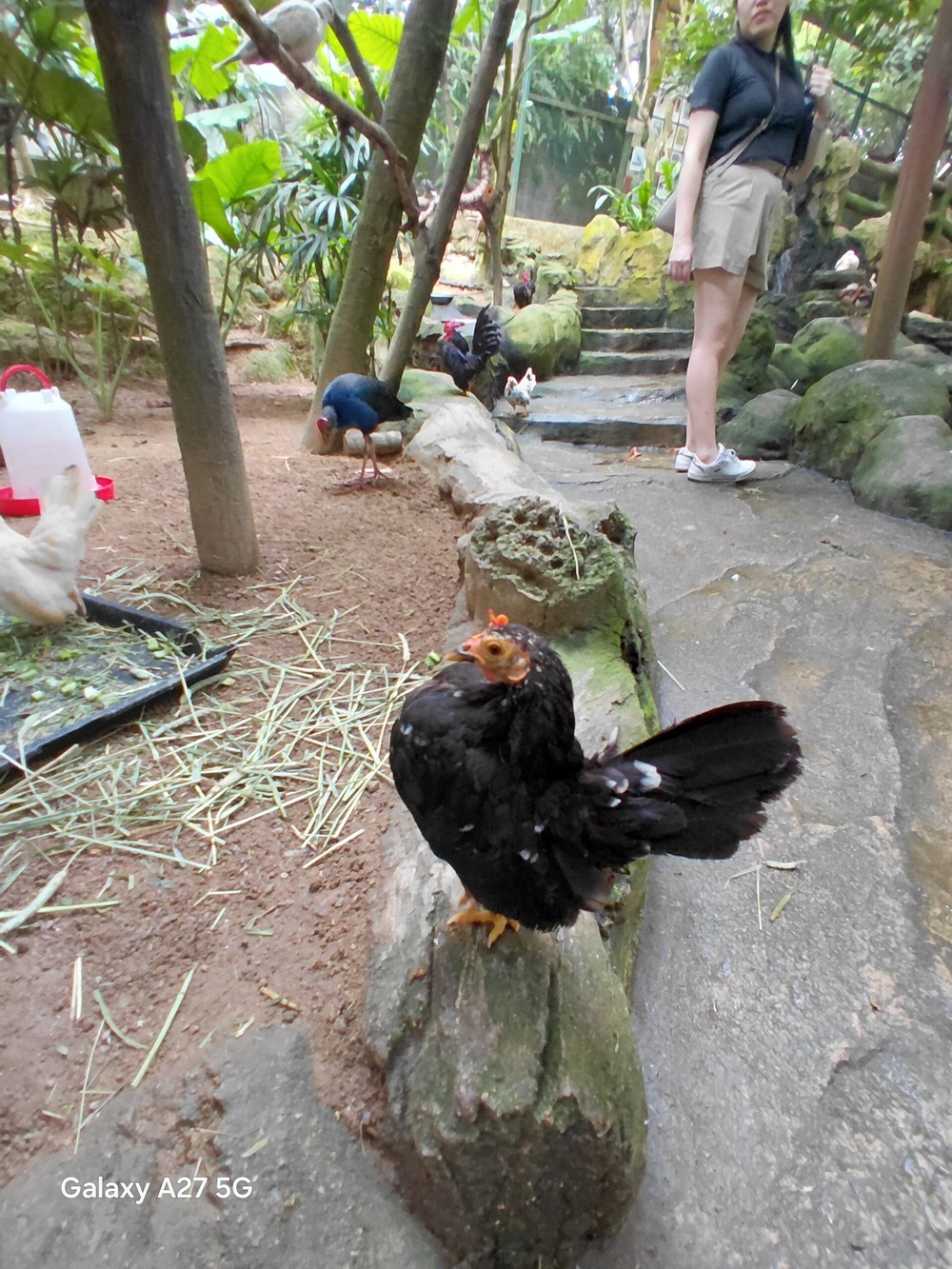Image from: Samsung Galaxy A27 5G camera showcase: Middling shooters for a midrange smartphone