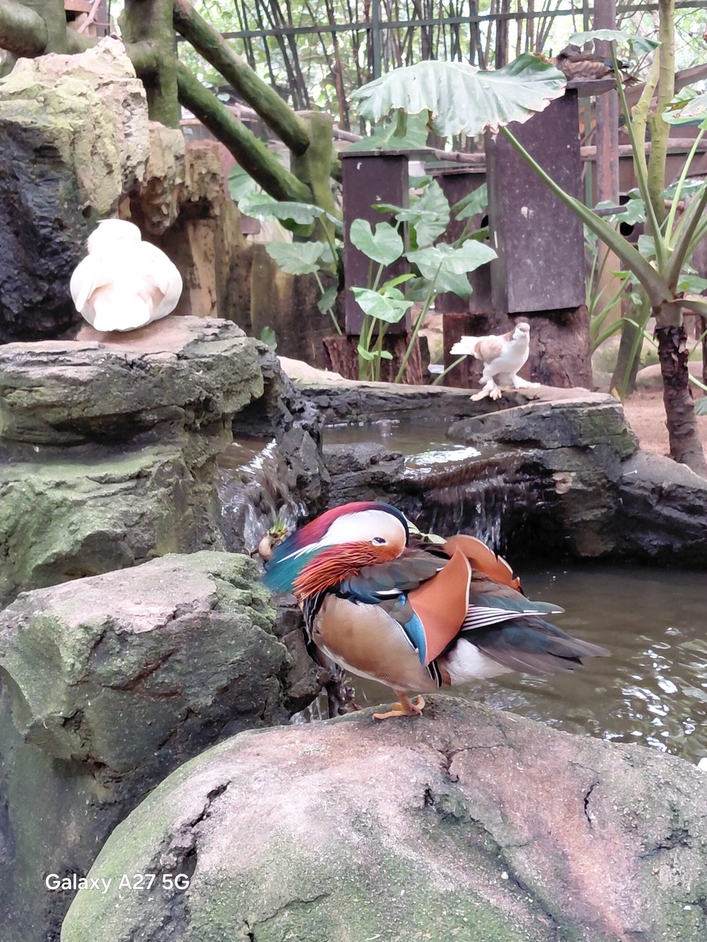 Image from: Samsung Galaxy A27 5G camera showcase: Middling shooters for a midrange smartphone