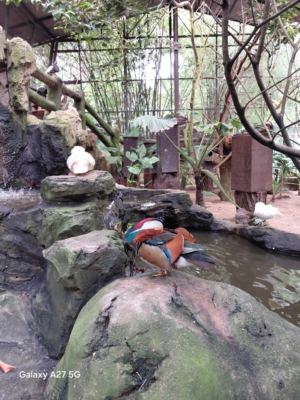 Image from: Samsung Galaxy A27 5G camera showcase: Middling shooters for a midrange smartphone