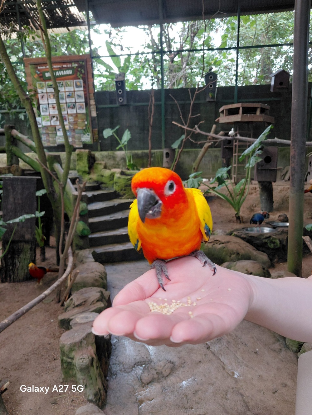 Image from: Samsung Galaxy A27 5G camera showcase: Middling shooters for a midrange smartphone